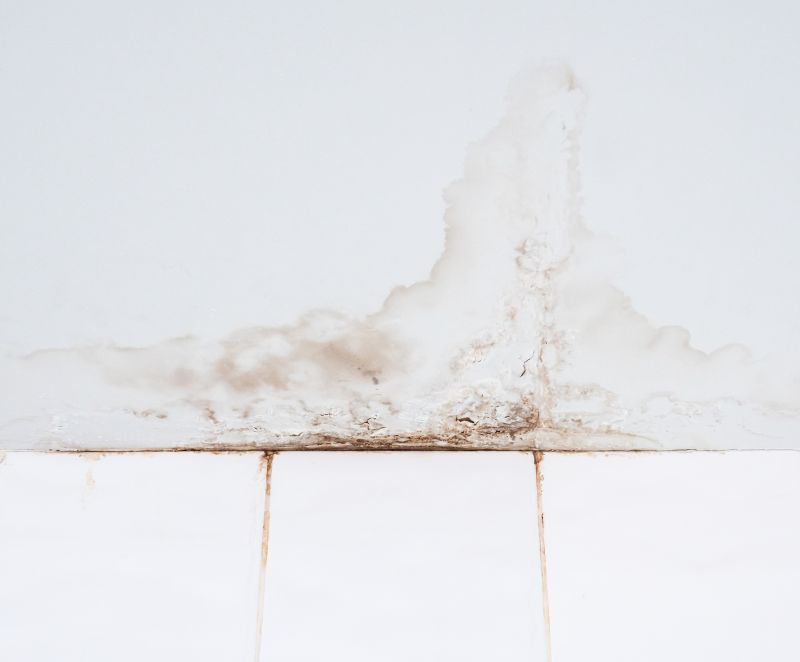 Ceiling Leak Repair Service in Littleton, CO