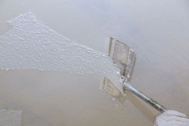 Ceiling Removal Service in Conroe, TX